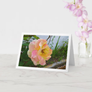 Carte Rose floral rose et jaune