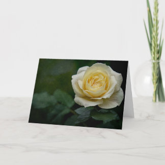 Carte rose jaune