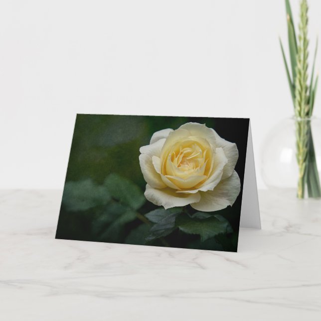 Carte rose jaune (Devant)