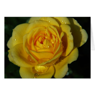 Carte Rose jaune