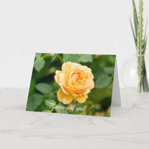 Carte Rose Jaune Orange Pensant À Vous