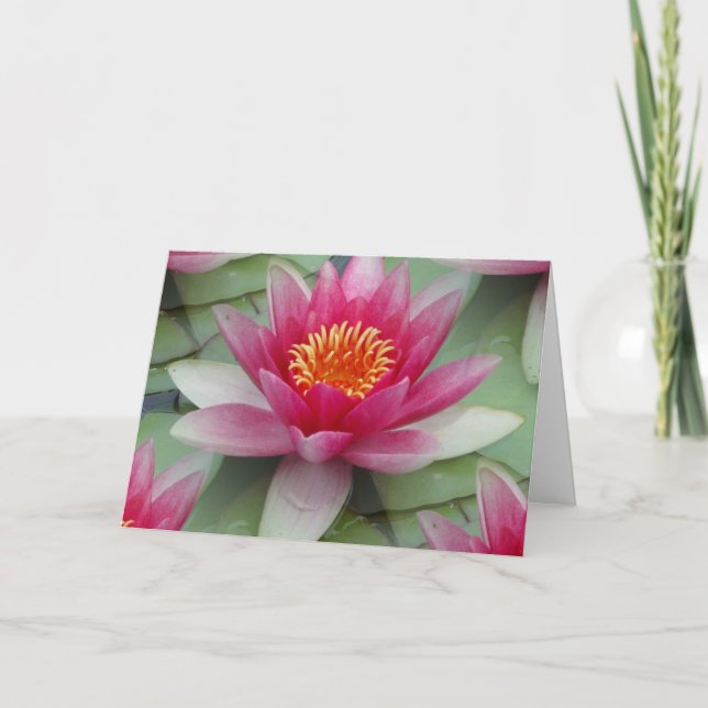 Carte Rose Lotus Water Lily (Devant)