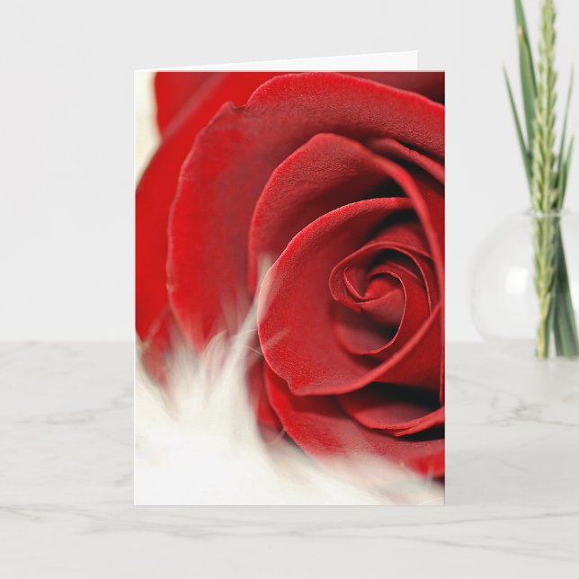Carte Rose mariage Anniversaire À la fourrure (Devant)