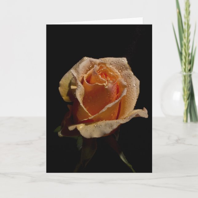 Carte Rose orange 1 (Devant)