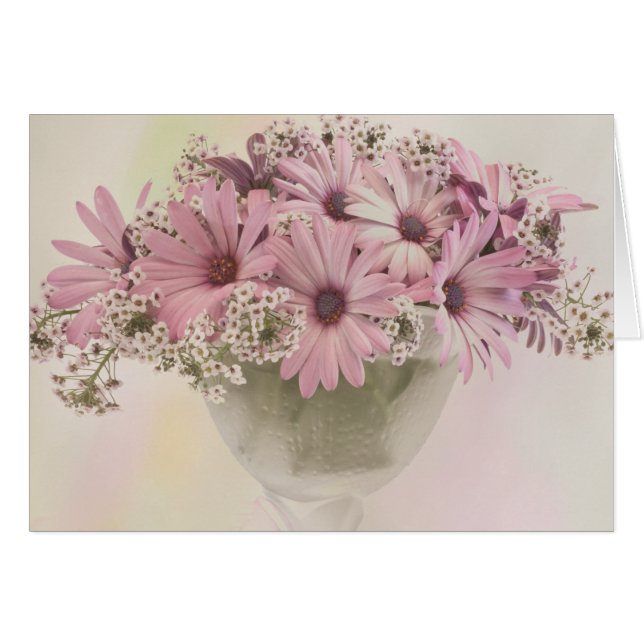 Carte rose Osteospernum (Devant horizontal)