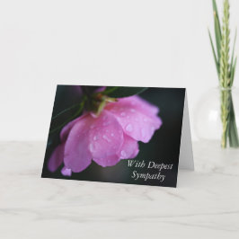 Carte Rose rose élégante de près avec sympathie de rosée