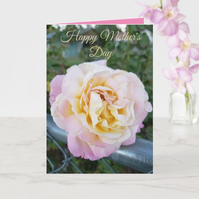 Carte Rose rose et jaune Photo Bonne fête des mères (Orchidée)