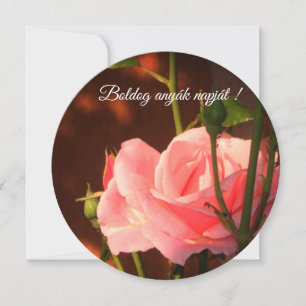Carte Rose rose Hongroise Fête des mères