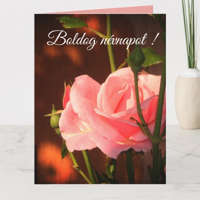 Carte Rose rose photo - Hongrois nom jour (Devant)
