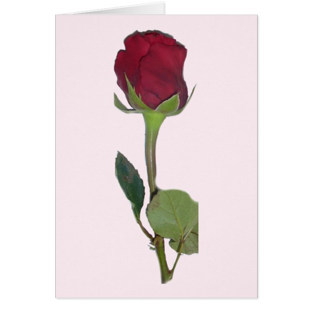 Carte Rose rouge (Devant)