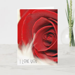 Carte Rose Rouge Anniversaire À La Fourrure