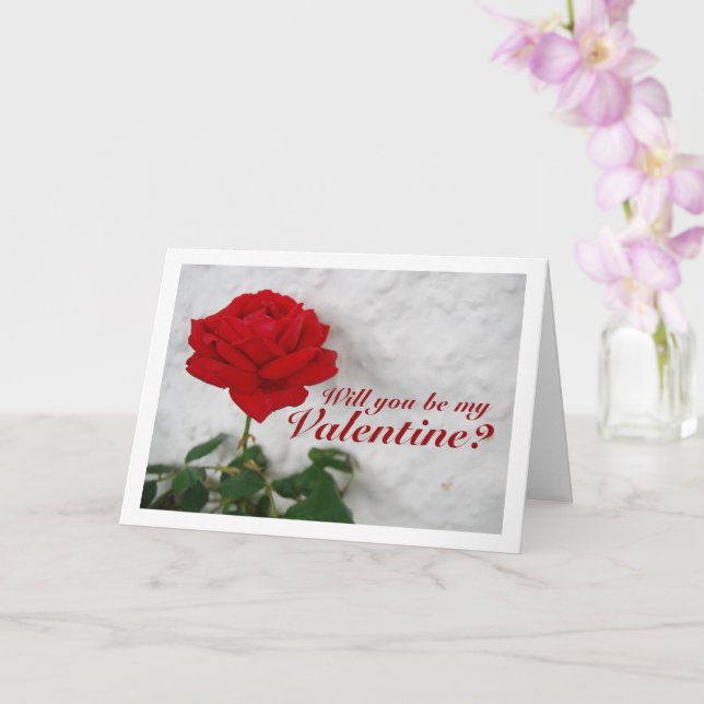 Carte Rose rouge contre mur blanc (Orchidée)