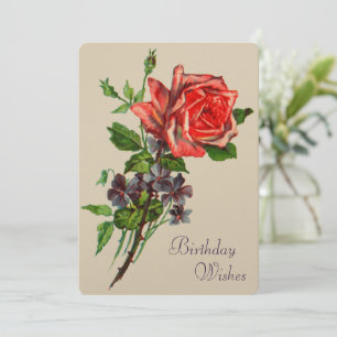 Carte Rose rouge et violettes