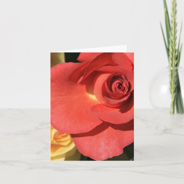 Carte rose rouge grand (Devant)