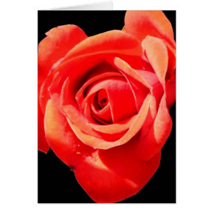 Carte Rose Rouge, Rouge ~ Vierge, Personnalisez-la