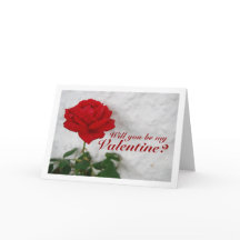 Rose rouge sur fond blanc