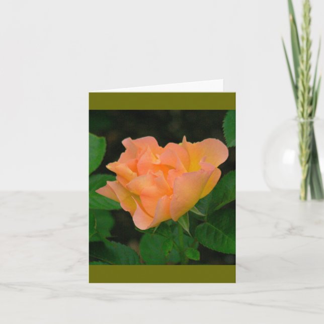 Carte Rose TANGERINE COLORÉ (PHOTOG) (Devant)