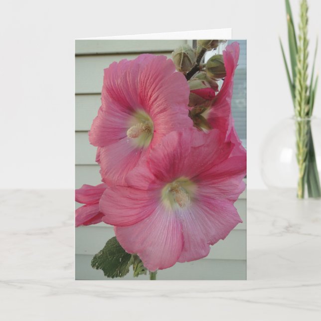 Carte Rose trémière rose, belle Madame d'anniversaire (Devant)
