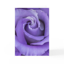 Carte Rose violet