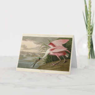 Carte Roseate Spoonbill from Audubon's Birds of America