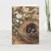 Roses de nids d'oiseaux et de chiens par John Will