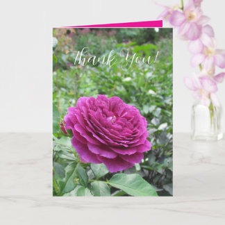 Carte Roses Folded Greeting Card