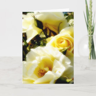 Carte Roses jaunes Dreamy AH2010