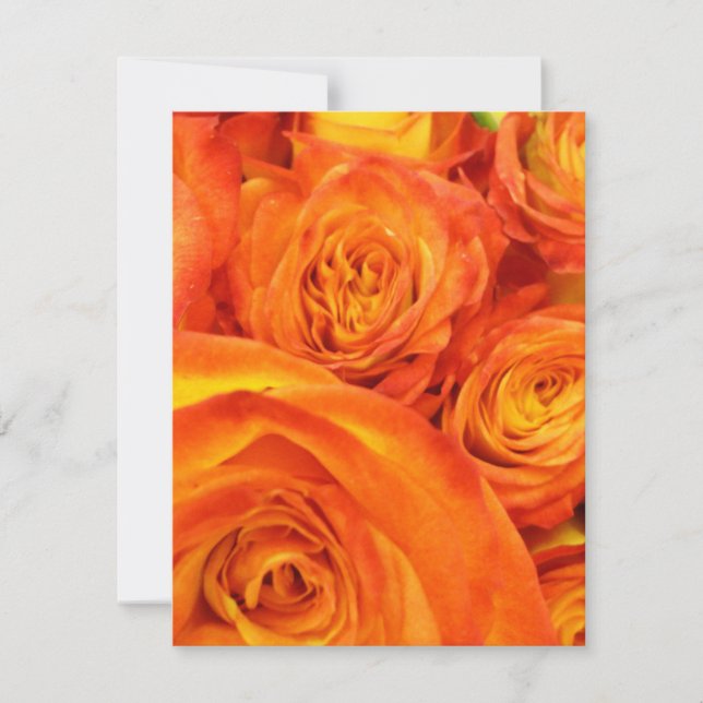 Carte Roses orange Fire (Devant)