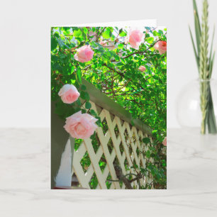 Carte Roses roses et treillis roses - Le vignoble de Mar