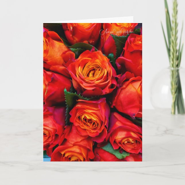 Carte Roses Rouges (Devant)