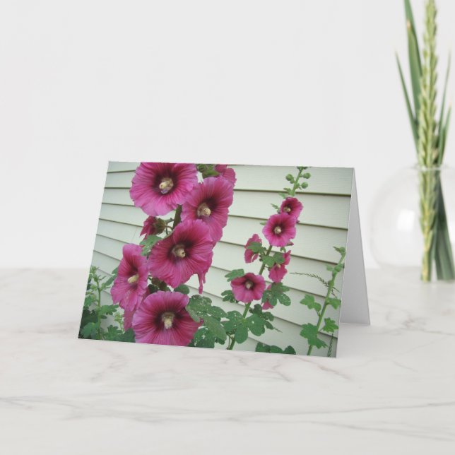 Carte Roses trémière glorieuses (Devant)