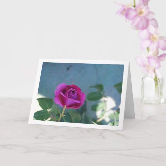 Carte Rosier de jardin floral pourpre (Orchidée)