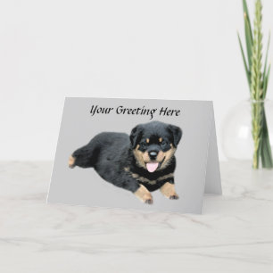 Carte Rottweiler
