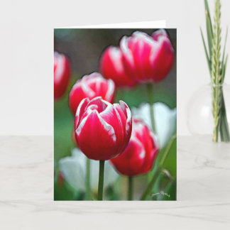 Carte Rouge, blanc et belle 2