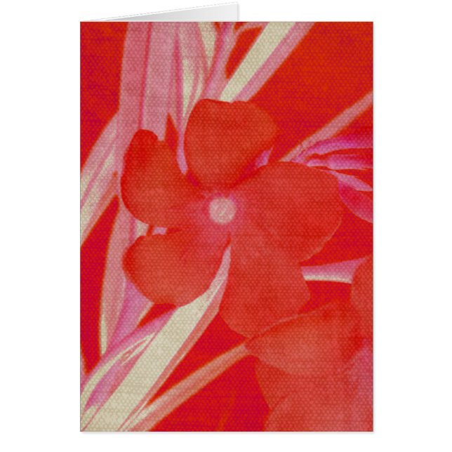 Carte rouge de fleur (Devant)