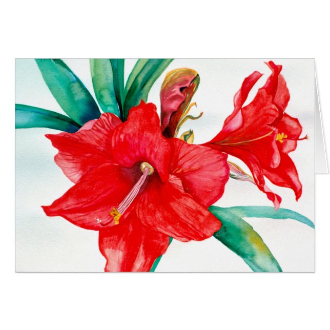 Carte rouge de PMACarlson Amarylis (Devant horizontal)