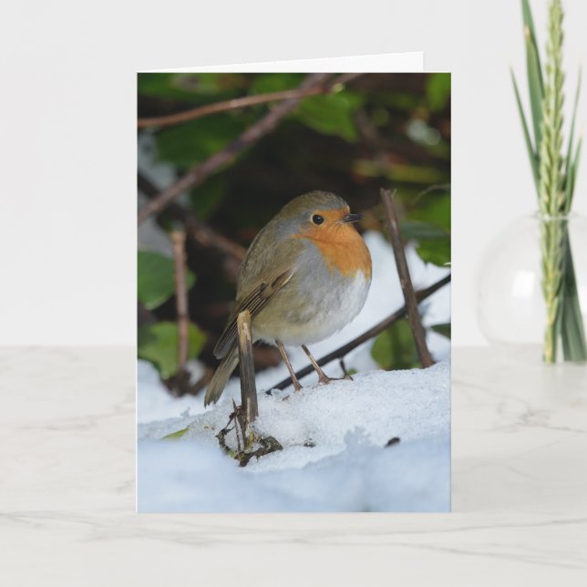 Carte Rouge-gorge de Noël dans la neige (Devant)