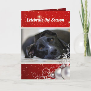 Carte Rouge Noël Famille Animaux de compagnie Photo Grey
