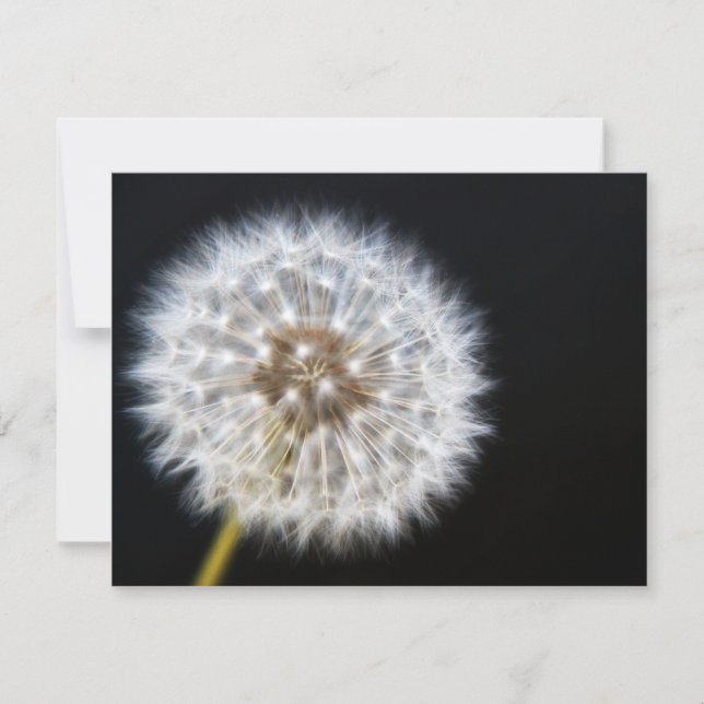 Carte RSVP de mariage Dandelion (Devant)