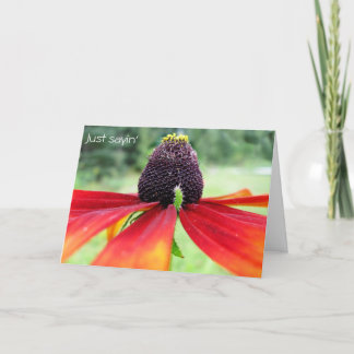 Carte Rubeckia, je dis juste