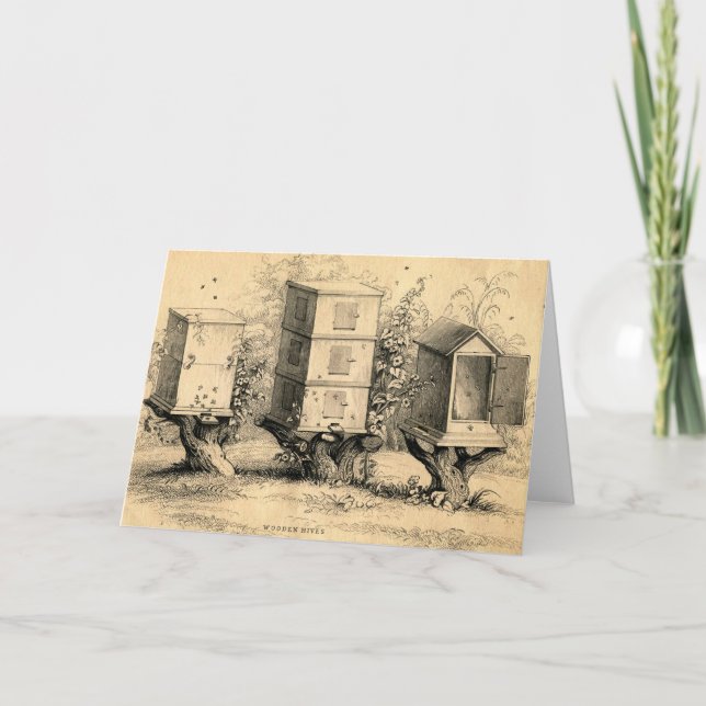 Carte ruche apicole vintage (Devant)