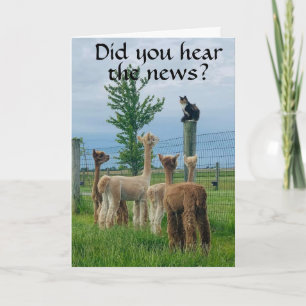 Carte RUMOR EST QUE **40ème ANNIVERSAIRE** PAS SI MAUVAI