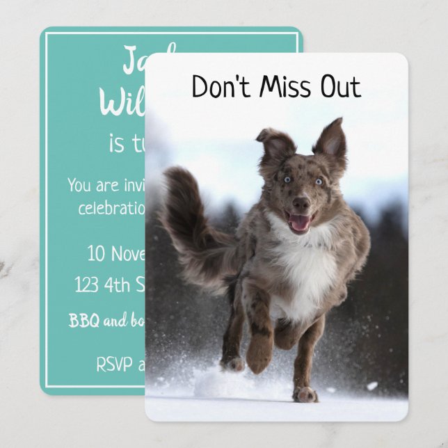Carte Running Australian Shepherd Birthday (Devant / Derrière)