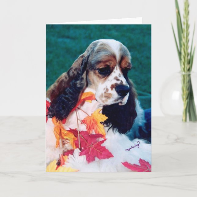 Carte Sable blanc Cocker Spaniel (Devant)