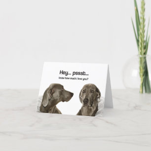 Carte Sachez combien je t'aime ? (Weimaraner)