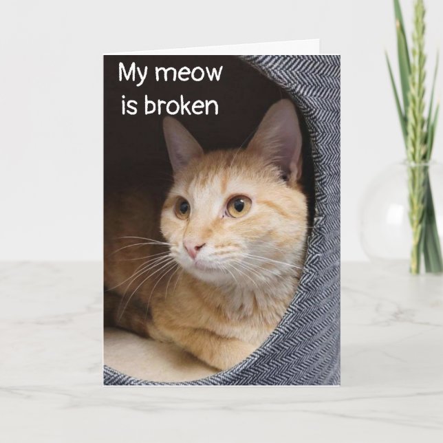 CARTE SAD KITTEN DIT *JOLI ANNIVERSAIRE* MAIS PAS EN PER (Devant)