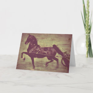Carte Saddlebred Song