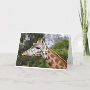 Carte Safari Afrique Mod Chic Élégant Destin Girafe