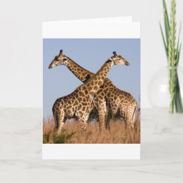 Carte Safari Afrique Mod Chic Élégant  Destin Girafe