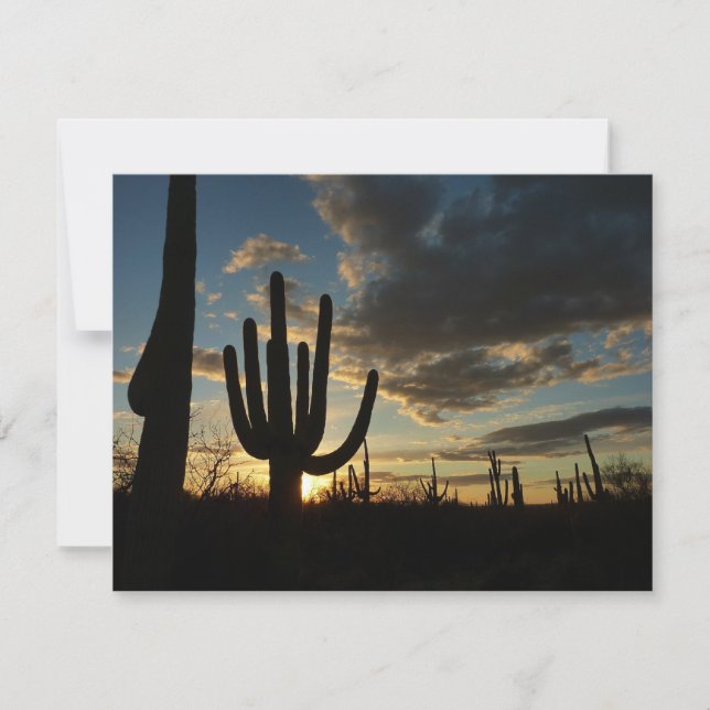 Carte Saguaro Sunset II Arizona (Devant)